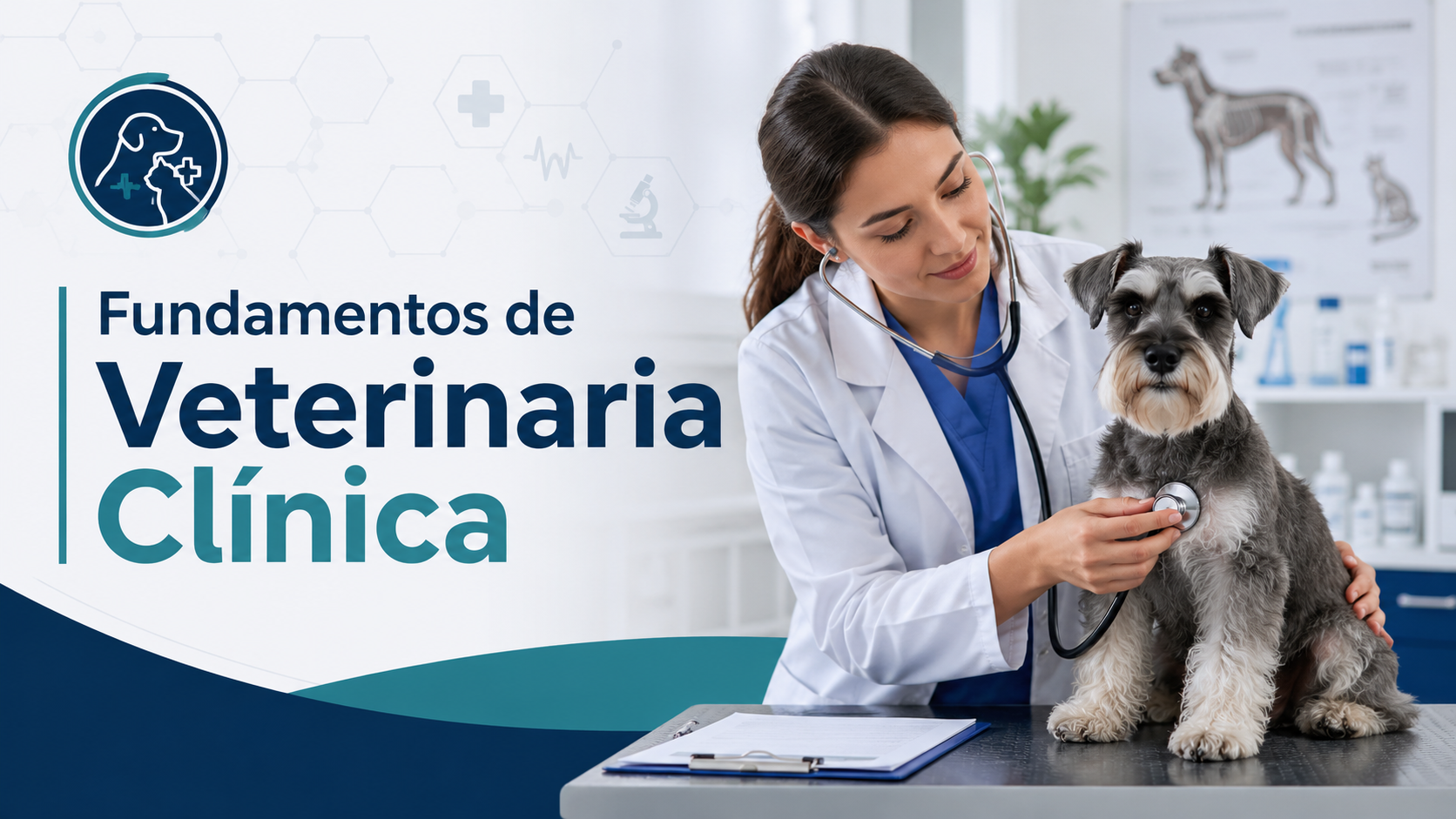 Fundamentos de Veterinaria Clínica